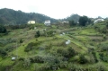 madeira views, east madeira-2